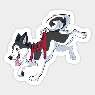 Grey Husky Running Sticker